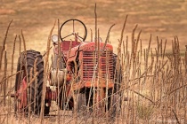 April 2018 Photo Contest 2nd Place Prize Winner