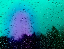 September 2018 Photo Contest 2nd Place Prize Winner