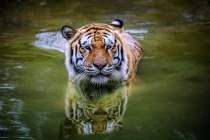 July 2018 Photo Contest 2nd Place Prize Winner