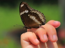 July 2018 Photo Contest 2nd Place Prize Winner