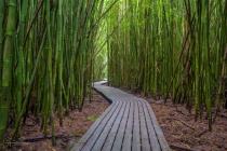 September 2018 Photo Contest 2nd Place Prize Winner