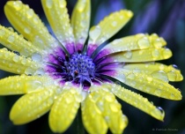 September 2018 Photo Contest 2nd Place Prize Winner