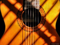 September 2018 Photo Contest 2nd Place Prize Winner