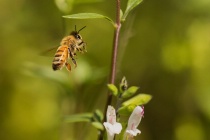 September 2018 Photo Contest 2nd Place Prize Winner