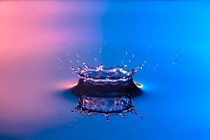 September 2018 Photo Contest 2nd Place Prize Winner