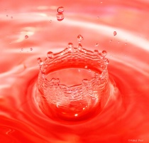 September 2018 Photo Contest 2nd Place Prize Winner