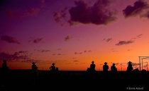 September 2018 Photo Contest 2nd Place Prize Winner