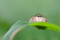 September 2018 Photo Contest 2nd Place Prize Winner