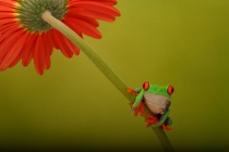 September 2018 Photo Contest 2nd Place Prize Winner