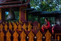 September 2018 Photo Contest 2nd Place Prize Winner