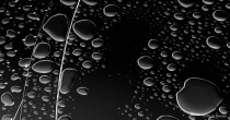 September 2018 Photo Contest 2nd Place Prize Winner