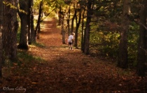 September 2018 Photo Contest 2nd Place Prize Winner