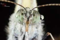 September 2018 Photo Contest 2nd Place Prize Winner