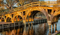 September 2018 Photo Contest 2nd Place Prize Winner