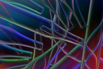 October 2018 Photo Contest 2nd Place Prize Winner