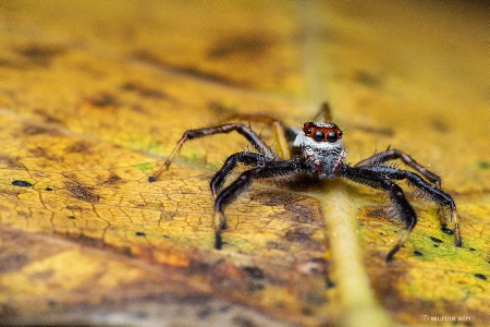 October 2018 Photo Contest 1st Place Prize Winner