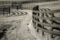 December 2018 Photo Contest 2nd Place Prize Winner