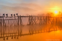 February 2019 Photo Contest 2nd Place Prize Winner