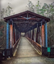February 2019 Photo Contest 2nd Place Prize Winner