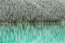 February 2019 Photo Contest 2nd Place Prize Winner