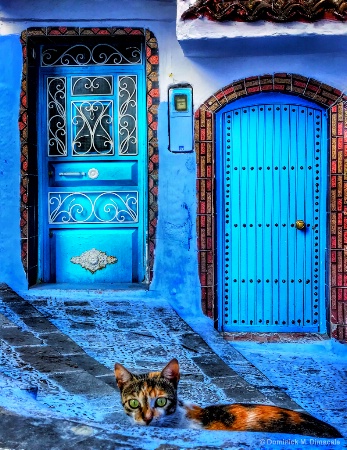 March 2019 Photo Contest 1st Place Prize Winner
