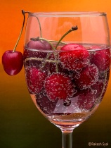 March 2019 Photo Contest 2nd Place Prize Winner