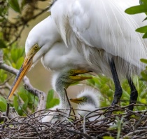 March 2019 Photo Contest 2nd Place Prize Winner