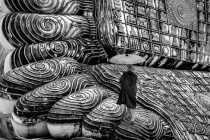 March 2019 Photo Contest 2nd Place Prize Winner